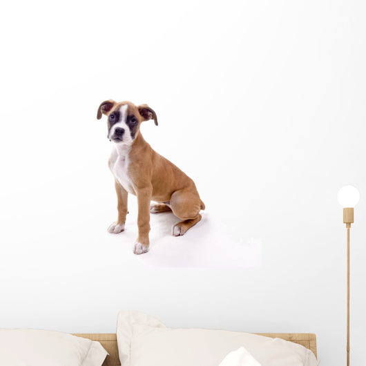 Perfect Boxer Puppy Wall Decal