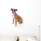 Perfect Boxer Puppy Wall Decal
