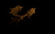 Dragon Wall Decal Design 2
