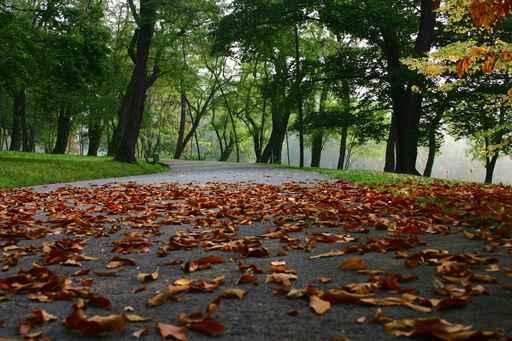 Herbst 2 Wall Decal