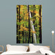 Tall Trees Forest Wall Decal
