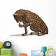 Big Cat Leopard Wall Decal