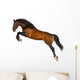 Jumping Brown Horse Wall Decal
