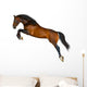 Jumping Brown Horse Wall Decal
