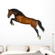 Jumping Brown Horse Wall Decal