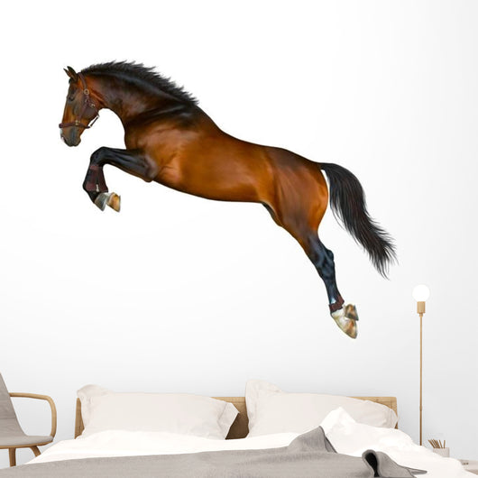 Jumping Brown Horse Wall Decal