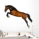 Jumping Brown Horse Wall Decal