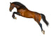 Jumping Brown Horse Wall Decal