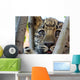Far Eastern Leopard Wall Decal