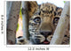 Far Eastern Leopard Wall Decal