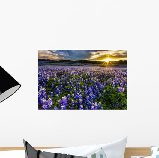 Texas Bluebonnet Field Sunset Wall Decal