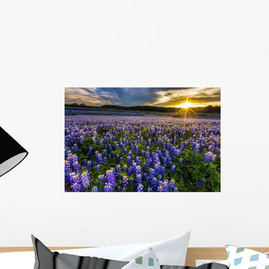 Texas Bluebonnet Field Sunset Wall Decal
