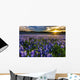 Texas Bluebonnet Field Sunset Wall Decal
