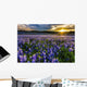 Texas Bluebonnet Field Sunset Wall Decal