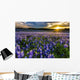 Texas Bluebonnet Field Sunset Wall Decal