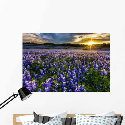 Texas Bluebonnet Field Sunset Wall Decal
