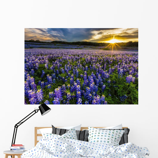 Texas Bluebonnet Field Sunset Wall Decal