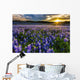 Texas Bluebonnet Field Sunset Wall Decal