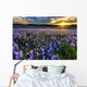 Texas Bluebonnet Field Sunset Wall Decal