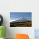 Cotopaxi Volcano Morning Sun Wall Decal