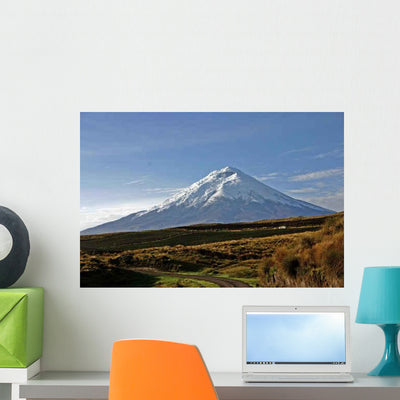 Cotopaxi Volcano Morning Sun Wall Decal shown on a wall
