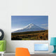 Cotopaxi Volcano Morning Sun Wall Decal