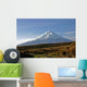 Cotopaxi Volcano Morning Sun Wall Decal