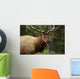 Elk Closeup Wall Decal