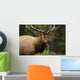 Elk Closeup Wall Decal