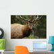 Elk Closeup Wall Decal