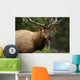 Elk Closeup Wall Decal