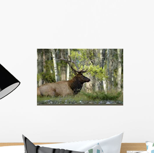 Each Wall Decal
