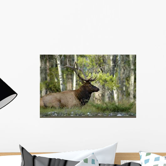 Each Wall Decal