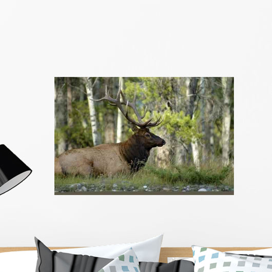Each Wall Decal