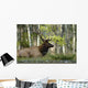 Each Wall Decal