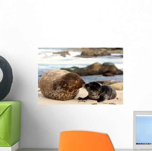 Kiss Kiss Loving Seals Wall Decal