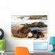 Kiss Kiss Loving Seals Wall Decal