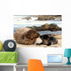 Kiss Kiss Loving Seals Wall Decal