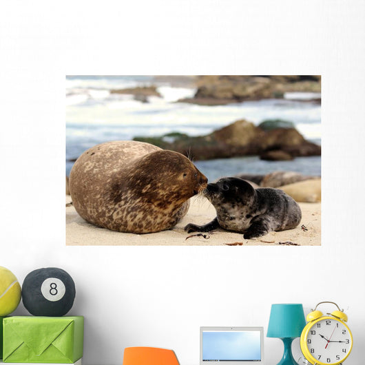 Kiss Kiss Loving Seals Wall Decal