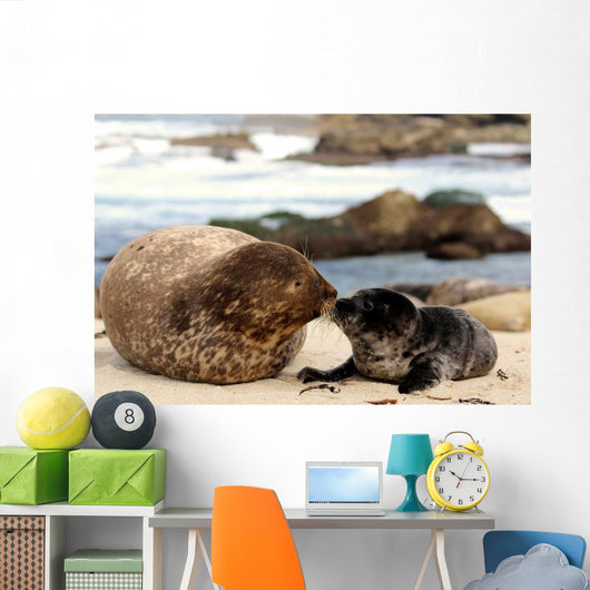 Kiss Kiss Loving Seals Wall Decal