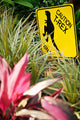 Cautionary T-rex Crossing Sign Wall Decal