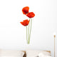 Floral Design Poppies White Wall Decal