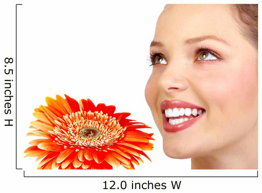 Woman Face Wall Decal