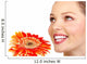 Woman Face Wall Decal