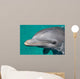 Close-up Swimming Dolphin Bright Wall Decal
