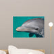 Close-up Swimming Dolphin Bright Wall Decal