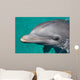 Close-up Swimming Dolphin Bright Wall Decal