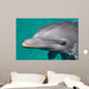 Close-up Swimming Dolphin Bright Wall Decal