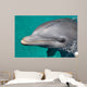 Close-up Swimming Dolphin Bright Wall Decal