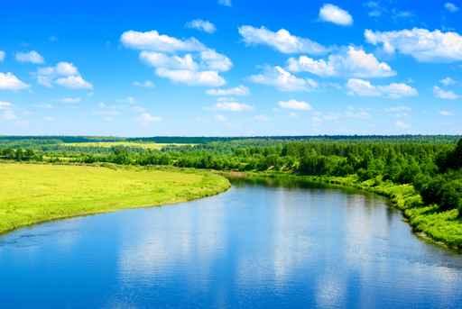 River and Summer Nature Wall Decal Design 1